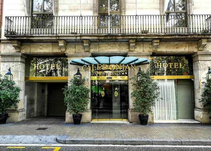 卡利多尼安酒店 酒店